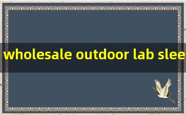 wholesale outdoor lab sleeping bag